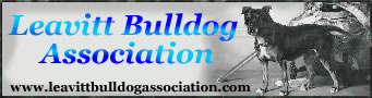 Registered with the Leavitt Bulldog Association